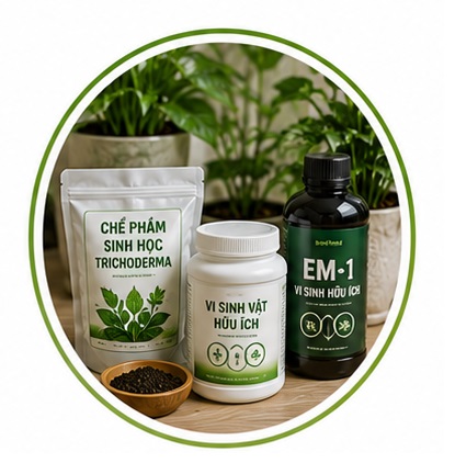 Chế phẩm sinh học cho cây cảnh và cải tạo môi trường trồng